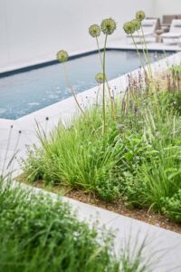 Gartenreferenz in Adliswil von Buchter Gärten