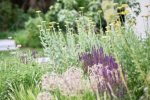 Gartenreferenz in Adliswil von Buchter Gärten