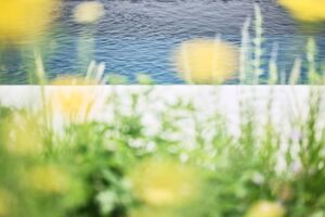 Gartenreferenz in Adliswil von Buchter Gärten