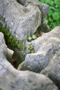 Naturstein